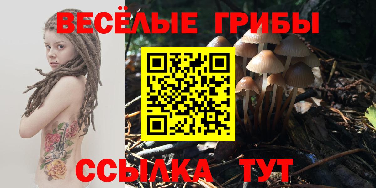 Галлюциногенные грибы Psilocybine cubensis  Вход с VPN  Орск  дарнет шоп  Псилоцибиновые грибы мухоморы 